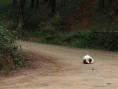 /album/la-cruda-realidad1/aba-2-jpg/